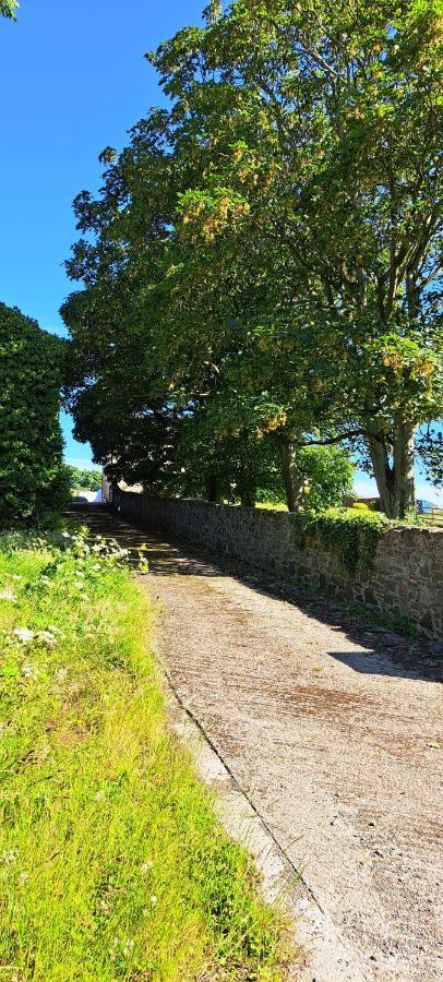Ardkeen House B&B Esterno foto