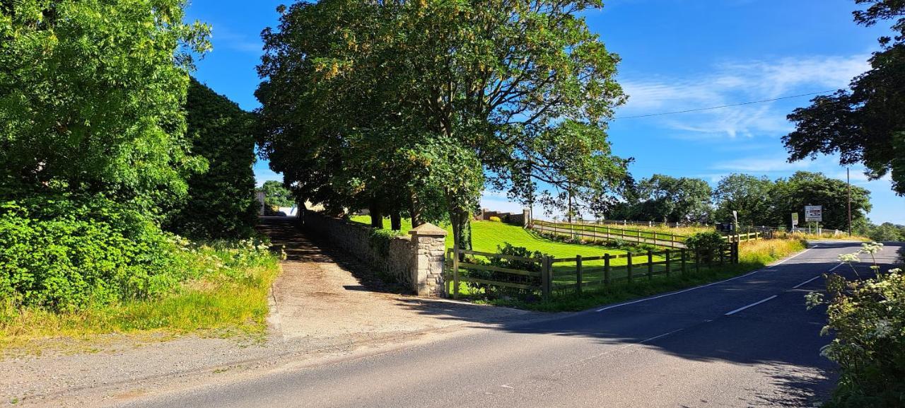 Ardkeen House B&B Esterno foto